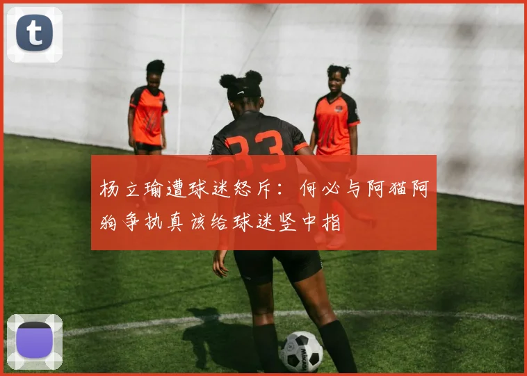 杨立瑜遭球迷怒斥：何必与阿猫阿狗争执真该给球迷竖中指