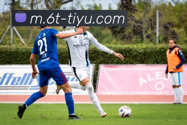 6t体育平台生态图