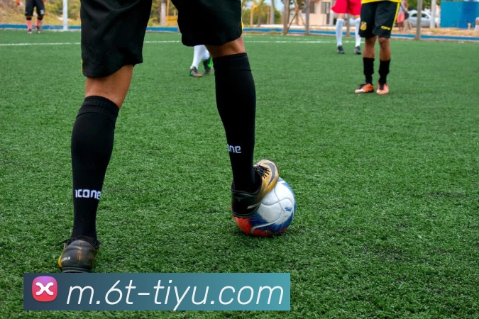 6t体育APP 封面图